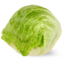 The Meme Zone Server Icon