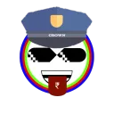 CROWN SUPPORT