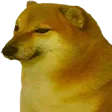 big yoshi doge