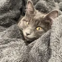 RE: Cozy