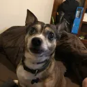 the hole in the butt