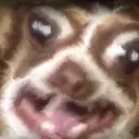 Okko