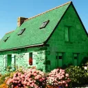 🌳La Maison Verte🌳