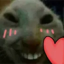 Sonku Twitch