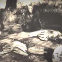 Fallout Strangers