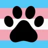 Transfurs