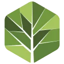 Gaia XI