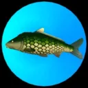 MotoMoto