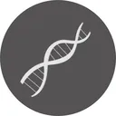 GL support team