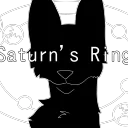 Saturn’s Rings