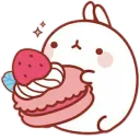 Cakey's Paradise