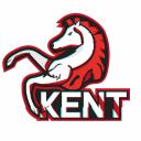 Kent Esports icon