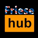 Friese Hub