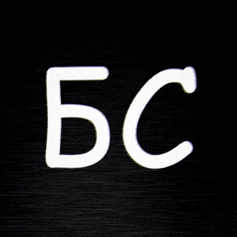 Бригада стариков (БС) — мониторинг Discord сервера, статистика и рейтинг
