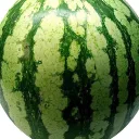 The Melon Patch