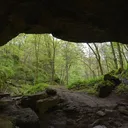 Furry Hideout