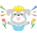 discord server