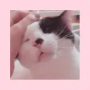 ✰. ⓒⓗⓞⓡⓘ   ⓚⓘⓦⓘ ✰