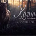 Karsin pbf