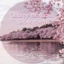 Cherry Blossom Snowstorm   ━ 桜吹雪 ━
