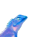 Lyzrds