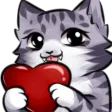 Kat Krew