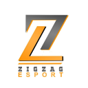 ZIG-ZAG ESPORTS icon