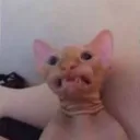 SALALUOLA