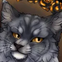 Warrior Cat rp server