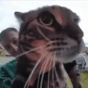 DogglesCord