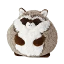 dead raccoon server