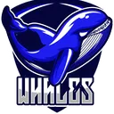 Founding Whales - ROM Global