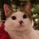 Olaf's Home Discord Server Icon