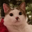 Olaf's Home Discord Server Icon