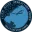 Osean 111th Joint Operations Group