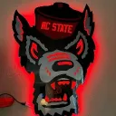 NCSU RULES