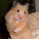 uwu