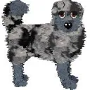 Petz Showing Central