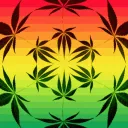 THC Official