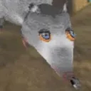 Rat Gang
