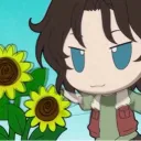SUNFLOWERS 🌻