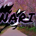 Nari’s server