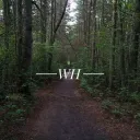 Witch's Hollow