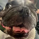 Popeye Paradise🐶