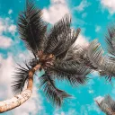 CloudHut
