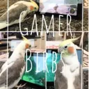 🐦Gamer Birbs🎮