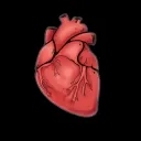 Primalheart_Gaming