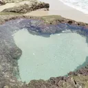 面接場