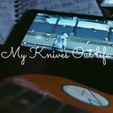騎士藤井聡太
