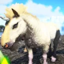 ColdSteel Ark XBOX Boosted